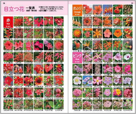 植栽 種類|「庭木・花木」植物一覧（条件から探す）｜図鑑検索｜みんなの 